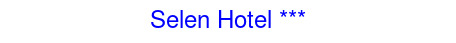 Рейтинг отеля Selen Hotel ***